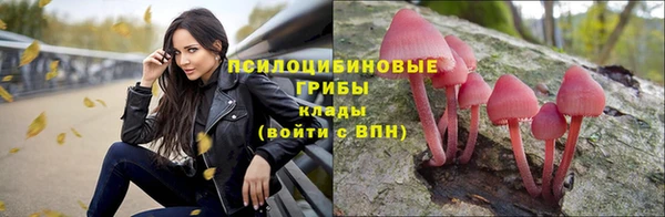 а пвп мука Верхний Тагил