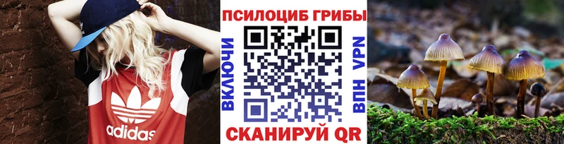 Галлюциногенные грибы Psilocybe  купить наркотик  Чебоксары 